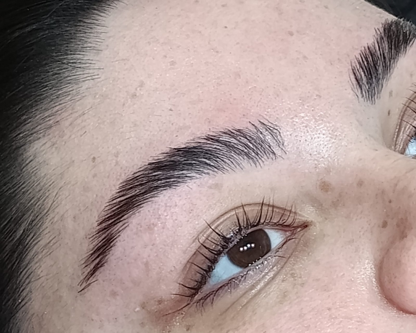 Laminado de cejas